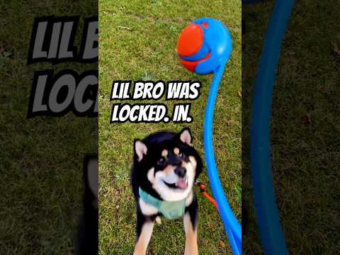 Lil bro was LOCKED IN for it