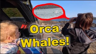 We Saw Orca Whales in Tillamook Bay, Oregon
