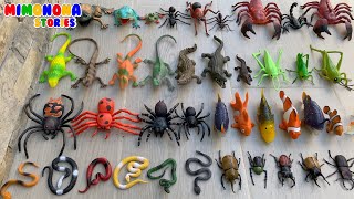 Animales Asombrosos para niños 🐊🐜🐠 Una Coleccion Increible 🦂🕷️ Serpientes, Arañas y Más Juguetes.