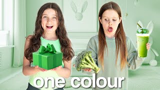 LIVING in ONE COLOUR for 24 HOURS challenge! | Family Fizz