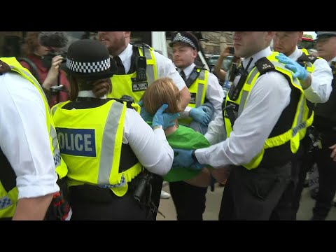 Police arrest demonstrators supporting Palestine Action in London | AFP