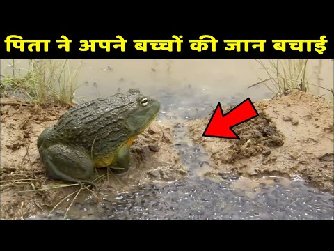 कैमरे में रिकार्ड न होता तो कोई यकीन नहीं करता | 10 Moments You Wouldn't Believe If Not Recorded#2