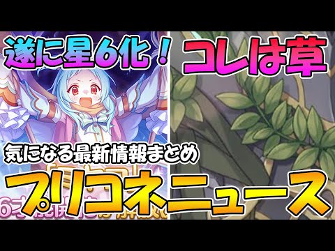 【プリコネR】ミヤコが遂に！！！これは流石に草ｗｗｗ【プリコネニュース】