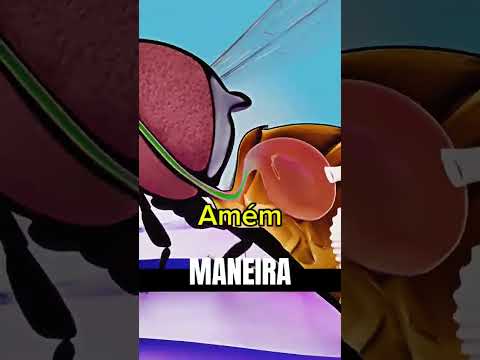 3 Fatos que você não sabia! #curiosidades #vocesabia #curiosidadesaleatorias #3danimation #viral