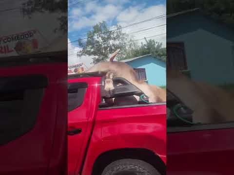 La vida solo es un momento se feliz y deja ser felices a los demás