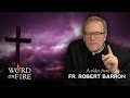 Father Barron comments on Lent