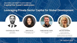 Leveraging Private Sector Capital for Global Development