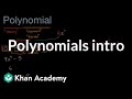 Exploring the Basics of Polynomials
