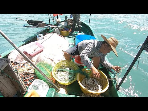 老四最近不愁海鲜吃，出海下钩又抓到鱼群，吃完再来抓啊