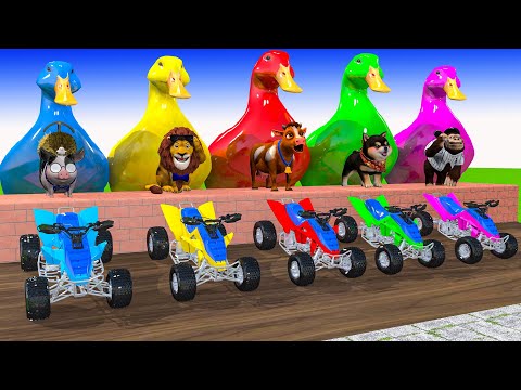 5 Giant Duck Cartoon, Piglet, Monkey, Dog, Lion, Cow, Paint Wild Animals Crossing Fountain Animation