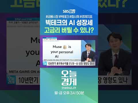 [오경안] 빅테크의 AI 성장세 고금리 버틸 수 있나? #임재균 #Shorts