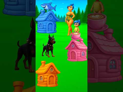 Cuidado com o Cachorro!