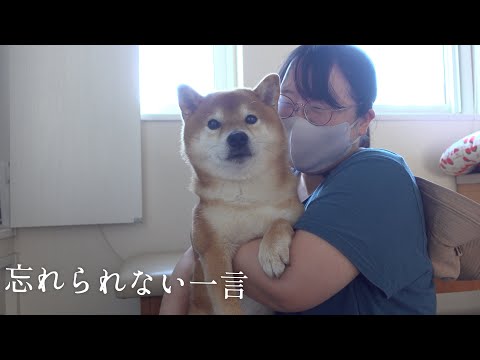 亡き父が大好きだった柴犬秋祭り。想いを伝えに行きました。
