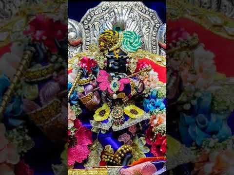 राधा रमन लाल की जय हो 🙏🙏♥️♥️#viralvideo