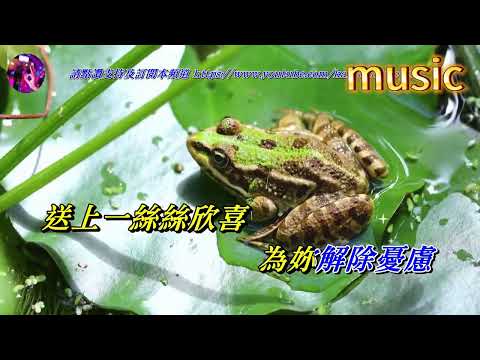 雲似是你 譚詠麟KTV 伴奏 no vocal 無人聲 music 純音樂 karaoke 卡拉OK 伴唱雲似是你 譚詠麟