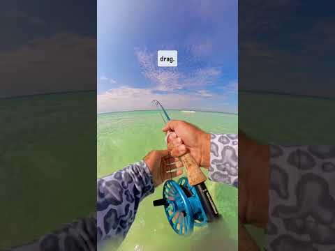 Time for big reds! #flyfishing #fishing #choona @choonaclothing