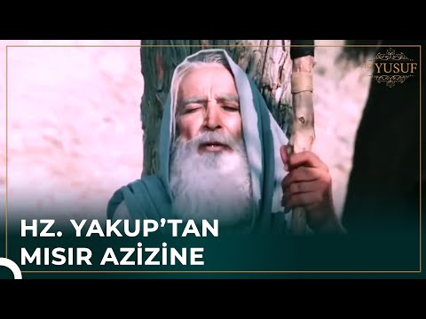 Hz. Yakup Mısır'a Mektup Gönderdi | Hz. Yusuf