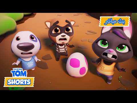 🔴بث مباشر: مطاردة الديناصورات 🦖 | Talking Tom Live | رسوم متحركة مضحكة للحيوانات