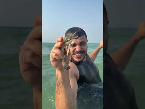 اغبى صياد 😂😂 #comedy #العريفي #ضحك #كوميديات #دويتو #المراه #اكسبلور #المراره #funny #ولده