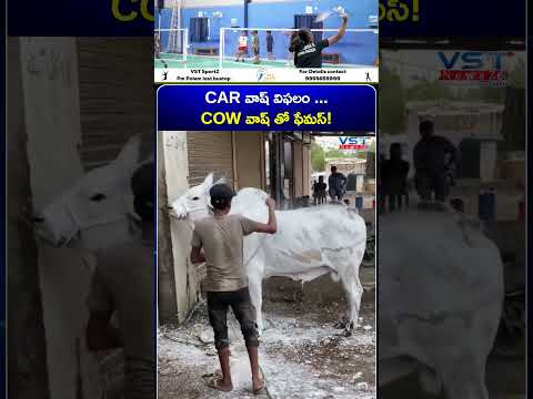 CAR వాష్ విఫలం... COW వాష్ తో ఫేమస్! #vstnewsz #viralshorts #cowwash #carwash #cowvideos #gomata