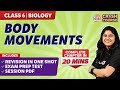 Human Body Movement and Structure