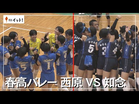 【春高バレー】女子決勝は西原 VS 知念！　勝負のカギを握るのは…（沖縄テレビ）2025/10/31