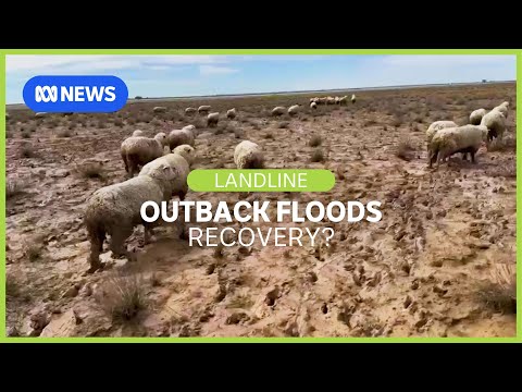 YouTube video thumbnail: After the Outback Floods: The Hard Road Back | Landline