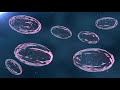 Plasmid DNA and Gene Therapy Concepts