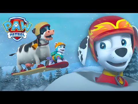 Os cachorros têm uma fuga ousada da montanha de neve  - Patrulha Pata PAW Patrol Episódio Português