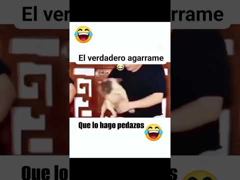 😱los guapos#love#shorts  #fitness#humor#viral #funny#baile#memes #comedy #viralshorts #comedia#short