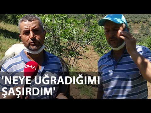 Yılların Birikimi Bir Telefonla Gitti! ‘Neye Uğradığımı Şaşırdım’