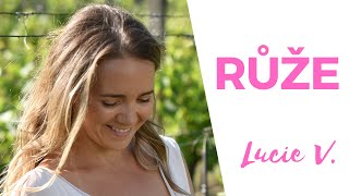 Lucie Vondráčková  Růže