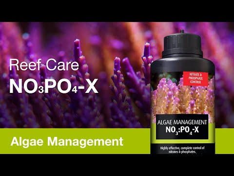 NOPOX – rid of nuisance algae the reef-safe way