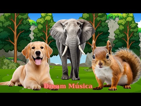 Adorable Family Animals: Dog, Elephant, Sheep, Goat, Chicken - Animal Sounds