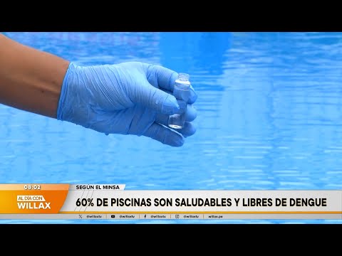 Al Día con Willax - ENE 22 - 4/6 - 60% DE PISCINAS SON SALUDABLES Y LIBRES DE DENGUE | Willax