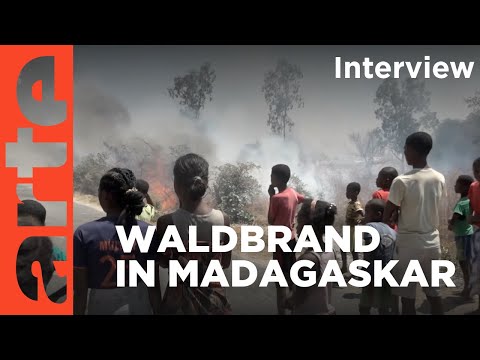 Rückblick: Gaëlle Borgia über Madagaskar | ARTE Info Plus