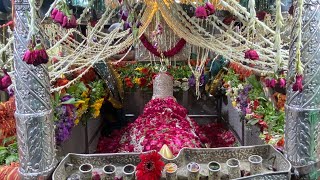 mira datar dargah sharif New qawwali whatsapp 😍status video 📷 dargah sharif contact +919725192184