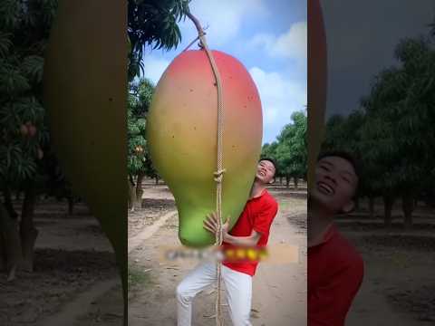 Big Mango😱