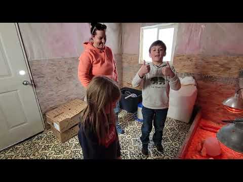 The Mellon Patch Homesteading TV Ep 2 Let the year begin!
