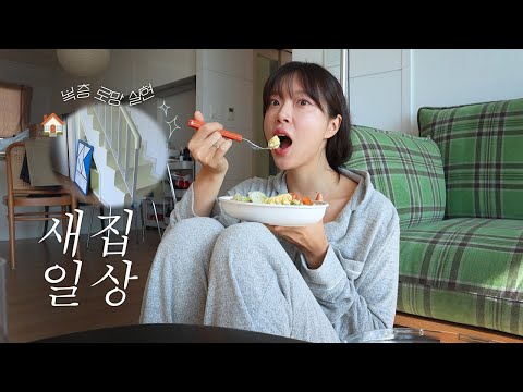 [VLOG] 일상 브이로그 | 2년동안 정든 집 안녕..이사갑니다! | 제주도민이 추천하는 차돌맛집 | 유튜브 소속사 디너파티 | 솔로지옥4 간단(?) 리뷰  | 겨울러닝