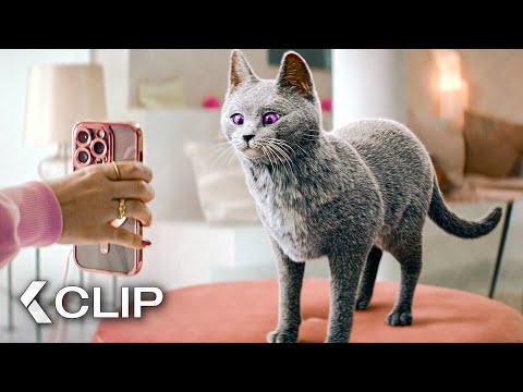 Auf die Katze gekommen! - DIE SCHULE DER MAGISCHEN TIERE 3 Clip (2024)