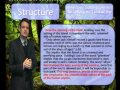 Analyzing Structure in Literature
