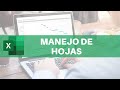Manejo Básico de Hojas en Excel