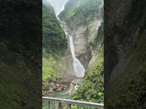 落差日本一の立山 称名滝！とてつもないマイナスイオン#富山県 #立山 ＃滝　#自然 #水音 #shorts