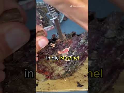 Warum Haben Muscheln Perlen?   #deutsch #trending