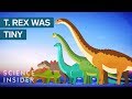 Dinosaurs: Size, Features, and Extinction