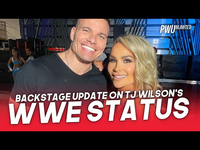 Backstage Update On TJ Wilson's WWE Status