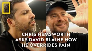 David Blaine Teaches Chris Hemsworth a Lesson in Pain Management | National Geographic