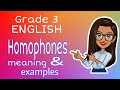 Homophones and Vocabulary Meanings