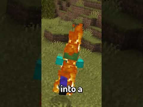Minecraft But, You Control Who I Am...